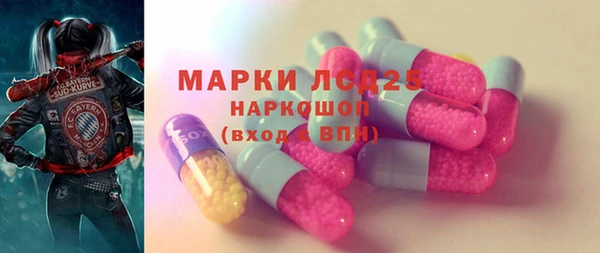 стаф Кулебаки