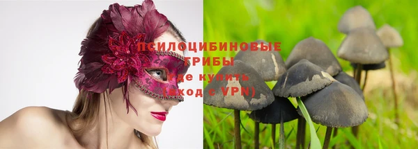 стаф Кулебаки