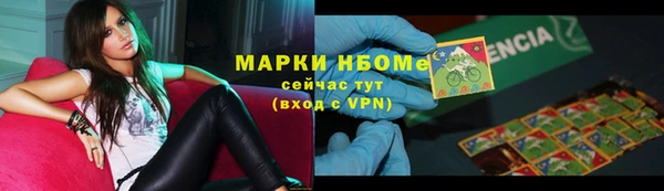 стаф Кулебаки