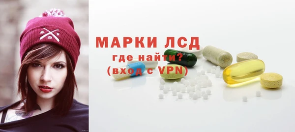 стаф Кулебаки
