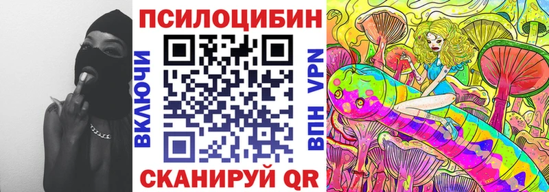 Купить где  Лиски  Галлюциногенные грибы Cubensis 
